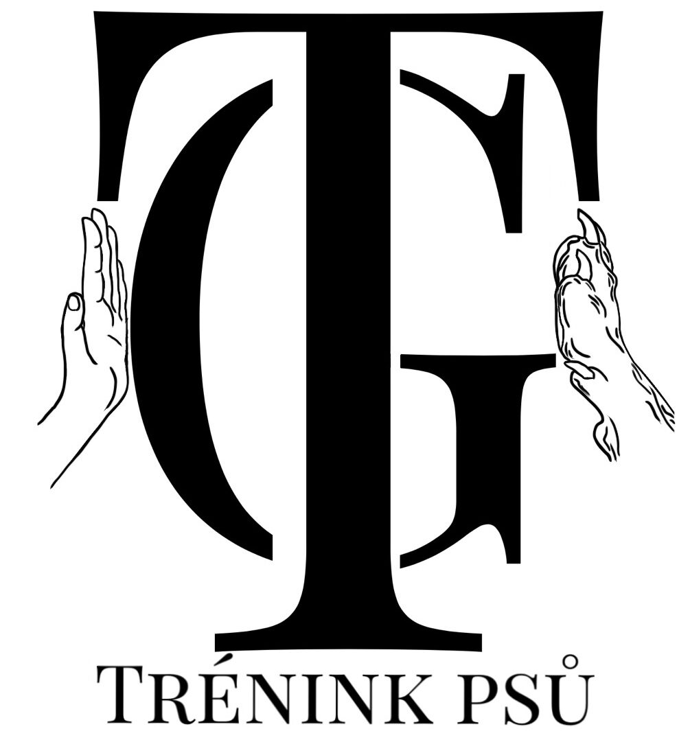 TG trénink psů